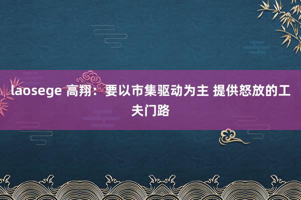 laosege 高翔：要以市集驱动为主 提供怒放的工夫门路