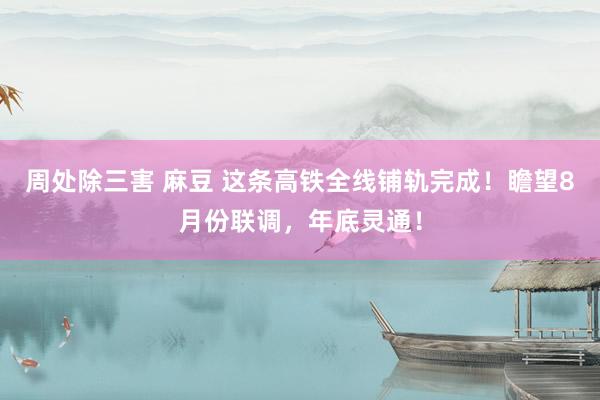 周处除三害 麻豆 这条高铁全线铺轨完成！瞻望8月份联调，年底灵通！