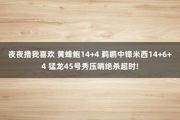 夜夜撸我喜欢 黄蜂鲍14+4 鹈鹕中锋米西14+6+4 猛龙45号秀压哨绝杀超时!