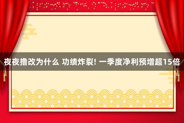 夜夜撸改为什么 功绩炸裂! 一季度净利预增超15倍
