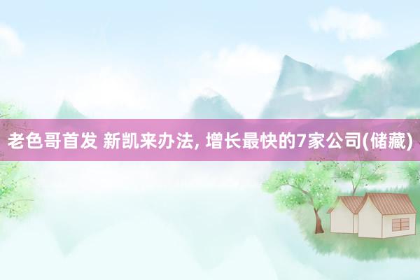 老色哥首发 新凯来办法， 增长最快的7家公司(储藏)