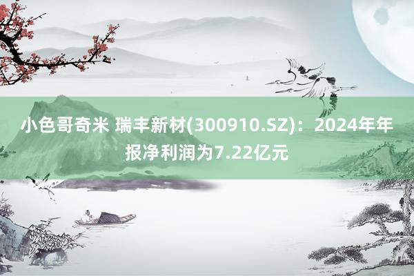 小色哥奇米 瑞丰新材(300910.SZ)：2024年年报净利润为7.22亿元
