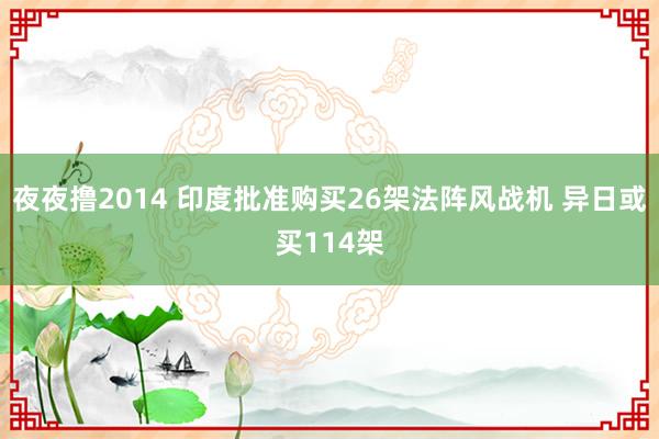 夜夜撸2014 印度批准购买26架法阵风战机 异日或买114架
