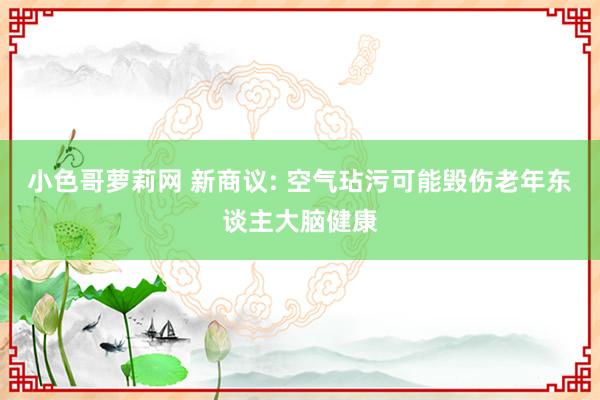 小色哥萝莉网 新商议: 空气玷污可能毁伤老年东谈主大脑健康