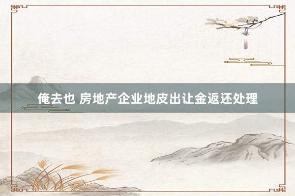 俺去也 房地产企业地皮出让金返还处理