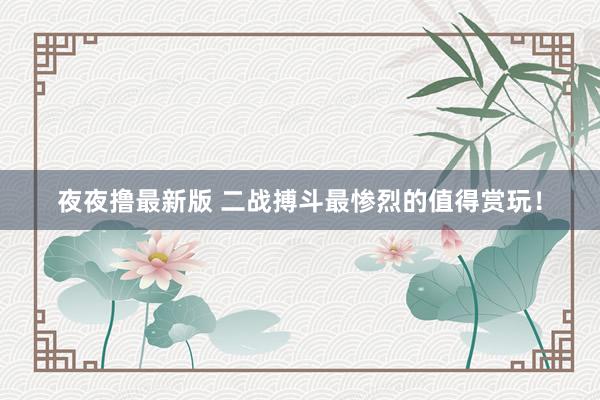 夜夜撸最新版 二战搏斗最惨烈的值得赏玩！
