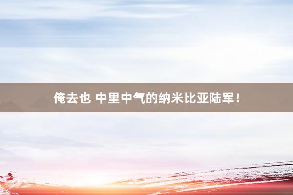 俺去也 中里中气的纳米比亚陆军！