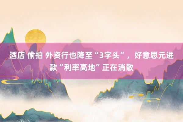 酒店 偷拍 外资行也降至“3字头”，好意思元进款“利率高地”正在消散